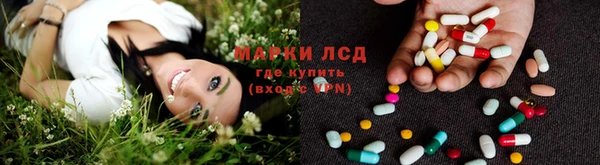 молекула духа Ростов