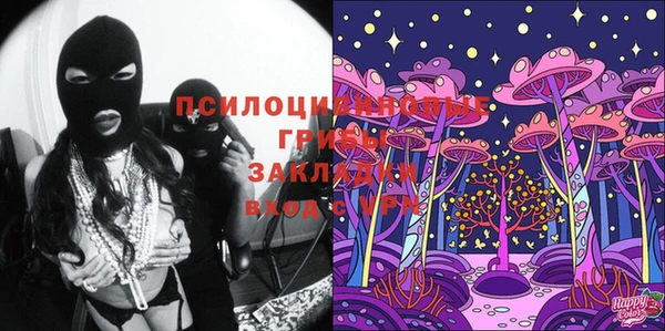 индика Рославль