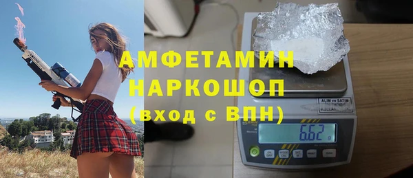 индика Рославль