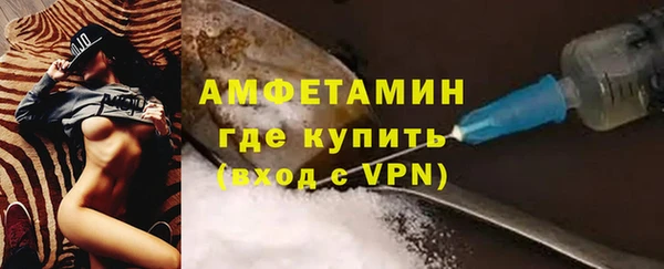 индика Рославль