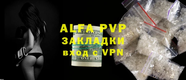 индика Рославль