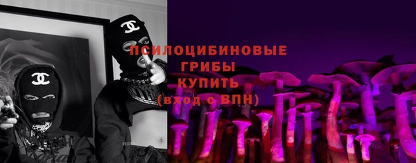 индика Рославль