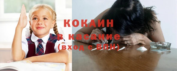 индика Рославль