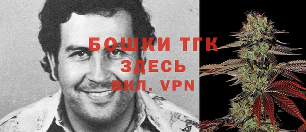 индика Рославль