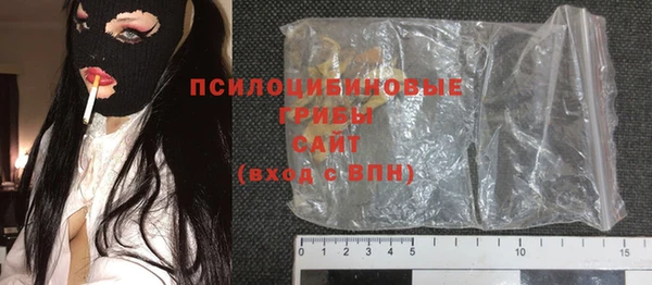 молекула духа Ростов