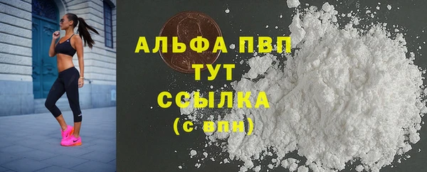 молекула духа Ростов